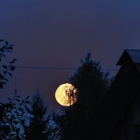 Moon :: Андрей 