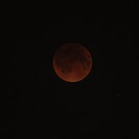 Затмение Луны :: Serega Alucard X2
