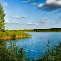 Сентябрь на Смоленщине. :: Милешкин Владимир Алексеевич 
