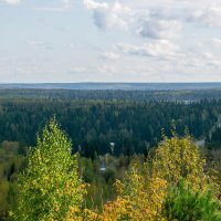 - :: Владимир Мигонькин