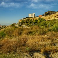 Прогулка у моря :: Анатолий Чикчирный