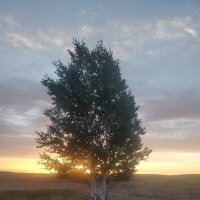 Рассвет в сопках Жосалы :: Андрей Хлопонин