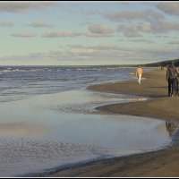 *** :: Aleksandr Gal