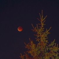 Полная фаза :: Сеня Белгородский