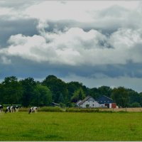 СЕЛЬСКИЙ МОТИВ... :: Elvira E. 