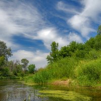 Река Медведица :: Наталья Димова