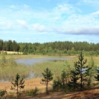 Прогулки по осеннему лесу :: Ольга Прогулки по осеннему лесу :: Ольга