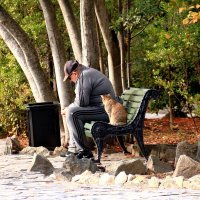 Человек и кошка :: Мишель71 