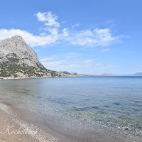 Природа Крыма :: Amazing Cosmea