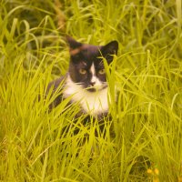 ** :: Сергей Кочнев