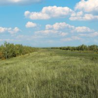 Дорога в Ульяновскую область :: Анатолий Уткин