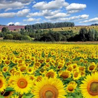 Российская глубинка. :: Николай Рубцов