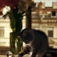 My magic Petersburg_04274 :: Станислав Лебединский