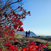 Первый день зимы :: Светлана 13.06.