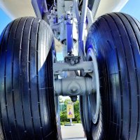 ВВЦ :: АЛЕКСАНДР 