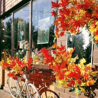 Осенние :: Светлана Мишенёва