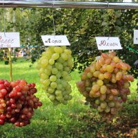 Сентябрь. :: Венера Чуйкова Сентябрь. :: Венера Чуйкова