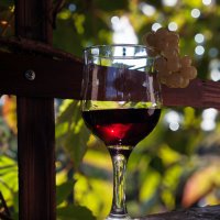 Солнце в бокале :: Oleg S