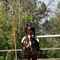 Грация и Красота! :: Александр Гриднев Грация и Красота! :: Александр Гриднев