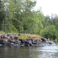 Валаам, Ладожские шхеры и остров Хонкасало :: Любовь ***