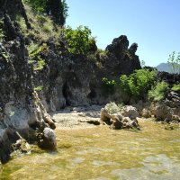 *** :: Марина Виноградова