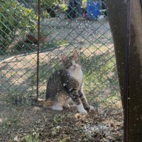 Маруся и капли. :: Валентина .