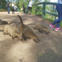 Мы банда! И мы никого не боимся! :: unix (Илья Утропов) Мы банда! И мы никого не боимся! :: unix (Илья Утропов)