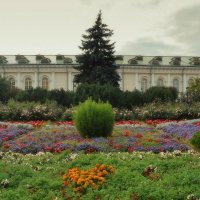 Осень в Александровском саду. :: Татьяна Помогалова