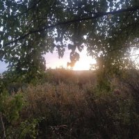 Рассвет :: Андрей Хлопонин