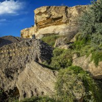 Прибрежные камни :: Анатолий Чикчирный