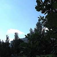 Лето. :: Владимир Драгунский