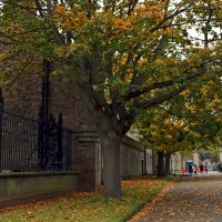 Осень у королевского дворца :: Ольга Осень у королевского дворца :: Ольга