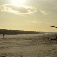 *** :: Aleksandr Gal