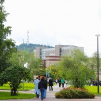 Мой Красноярск :: Василий 