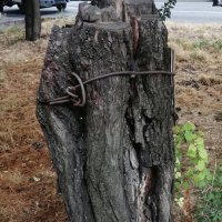 ПОЯС ВЕРНОСТИ :: Юрий Вовк