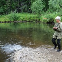 Вот и обед на берег вышел... :: Галина Ильясова