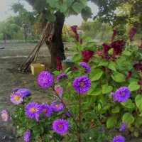 Осенний день :: Наталья 