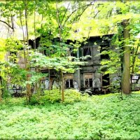 Остатки былого ... :: Сергей Остатки былого ... :: Сергей