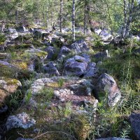 Труднопроходимые места :: Наталья Лунева 