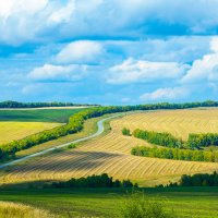 Осенние просторы :: юрий Амосов