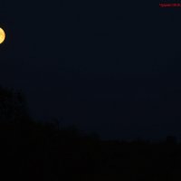 Колобок :: Алексей Харькин