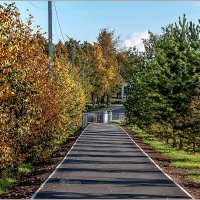 Осенняя дорожка :: Aquarius - Сергей