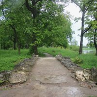 Стрельна. Орловский парк :: Наталья Герасимова