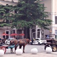 Грузия :: Георгиевич 