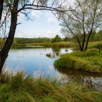 Осень :: Петр 