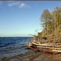 *** :: Aleksandr Gal *** :: Aleksandr Gal