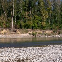 Река Кубань мелеее, когда на горе Эльбрус перестает таять снег :: Игорь Сикорский Река Кубань мелеее, когда на горе Эльбрус перестает таять снег :: Игорь Сикорский