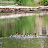 Убегают... :: Галина Ильясова