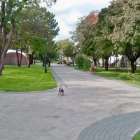 Осень в парке :: Валентин Семчишин Осень в парке :: Валентин Семчишин