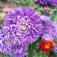 ,,, :: Сергей Тимоновский